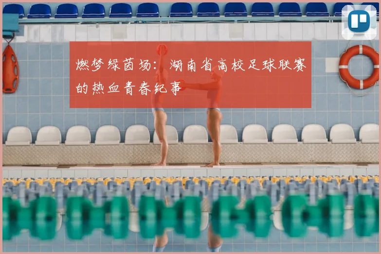 燃梦绿茵场：湖南省高校足球联赛的热血青春纪事